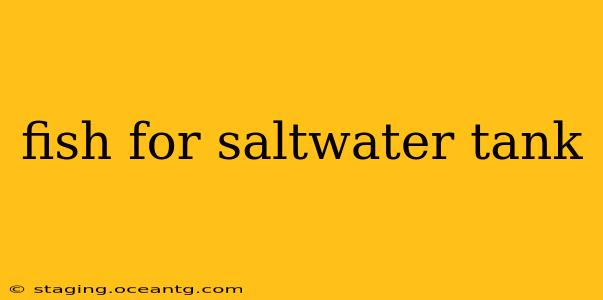 fish for saltwater tank