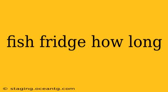 fish fridge how long