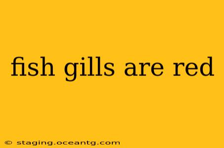 fish gills are red