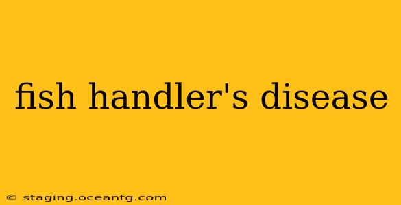 fish handler's disease