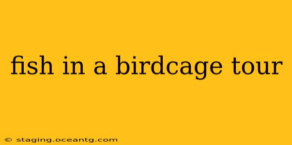 fish in a birdcage tour