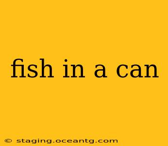 fish in a can