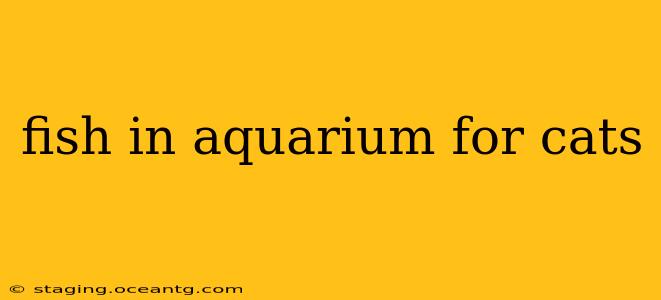 fish in aquarium for cats
