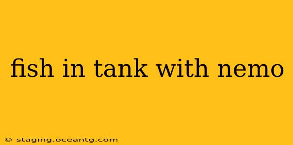 fish in tank with nemo