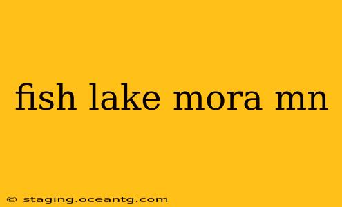 fish lake mora mn