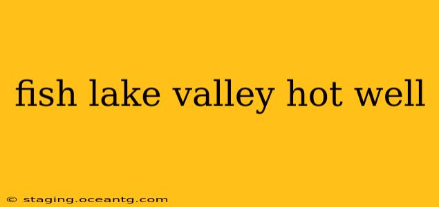 fish lake valley hot well