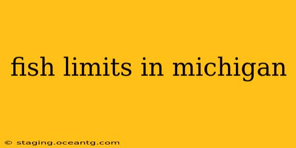 fish limits in michigan