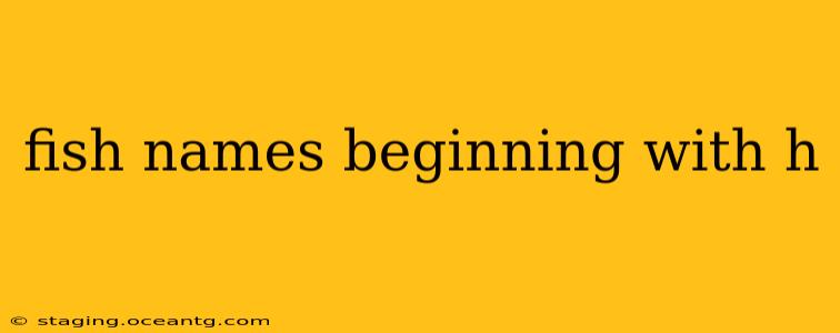 fish names beginning with h