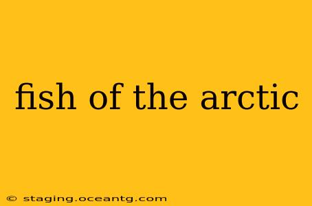 fish of the arctic