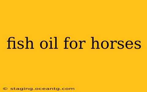fish oil for horses