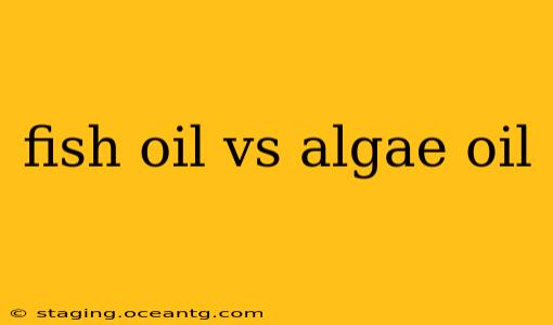 fish oil vs algae oil