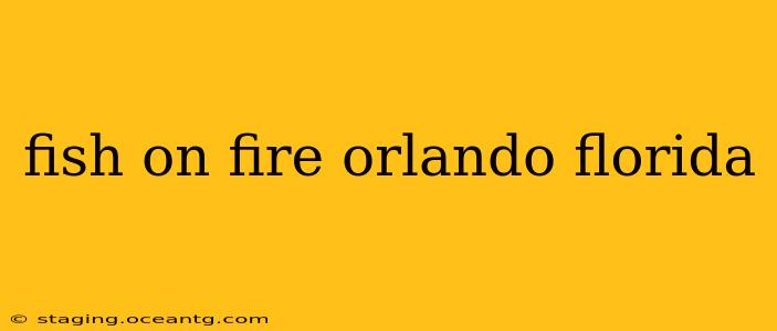 fish on fire orlando florida