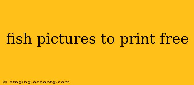 fish pictures to print free
