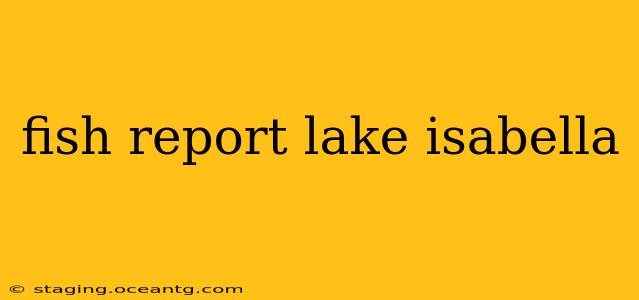 fish report lake isabella