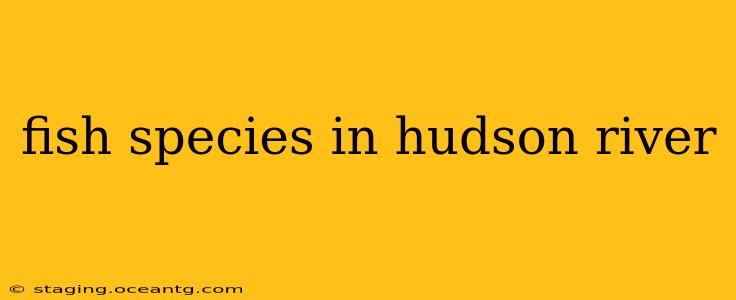 fish species in hudson river