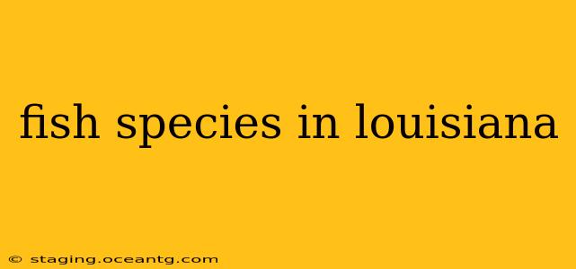 fish species in louisiana