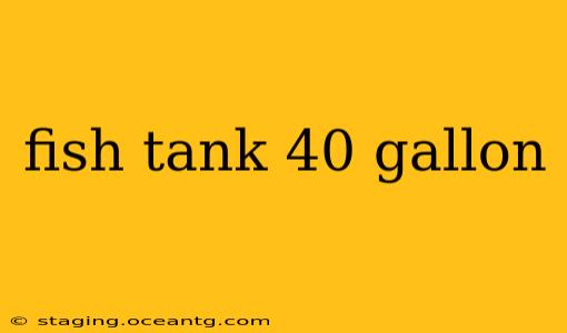 fish tank 40 gallon