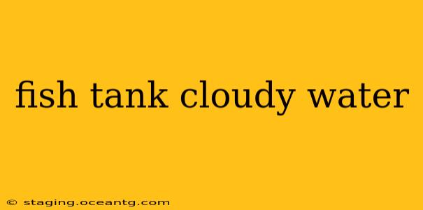 fish tank cloudy water