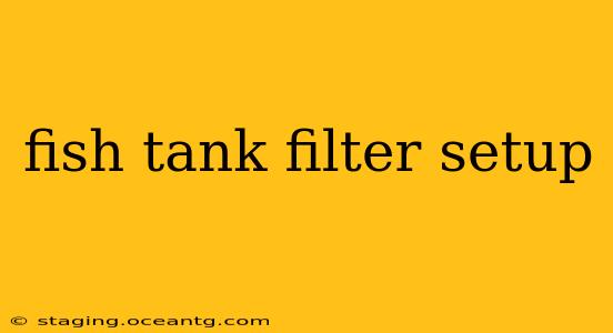 fish tank filter setup