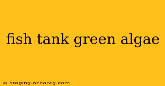 fish tank green algae