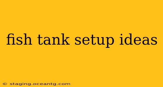 fish tank setup ideas