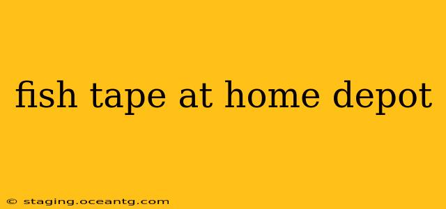 fish tape at home depot