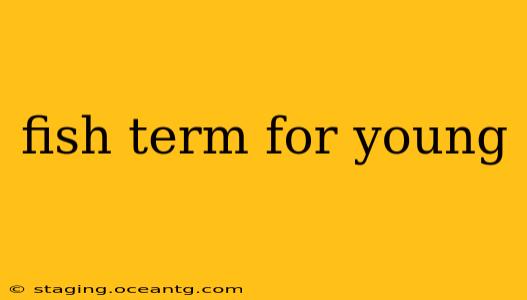 fish term for young