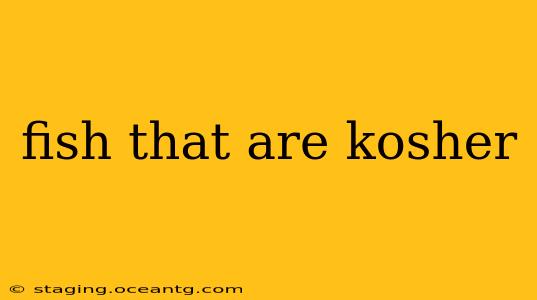 fish that are kosher