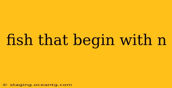 fish that begin with n