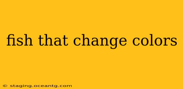 fish that change colors