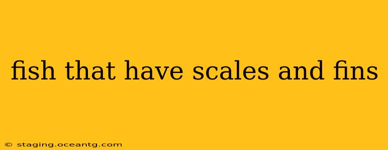 fish that have scales and fins