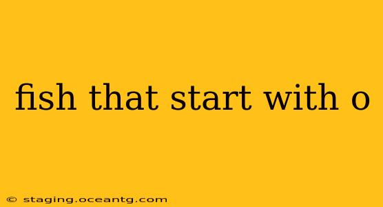 fish that start with o