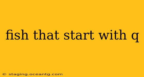 fish that start with q