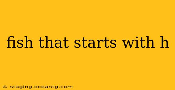 fish that starts with h
