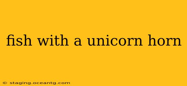 fish with a unicorn horn