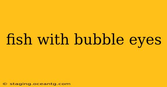fish with bubble eyes