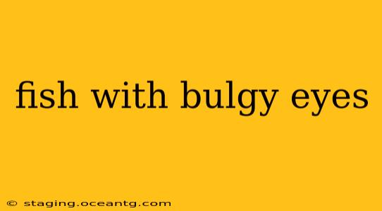 fish with bulgy eyes