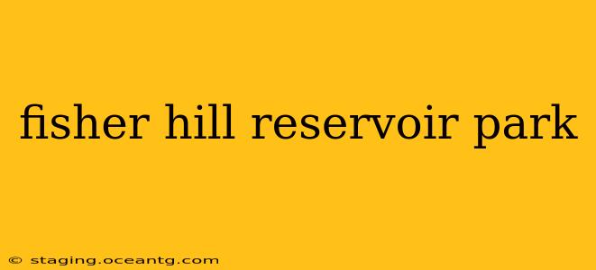 fisher hill reservoir park