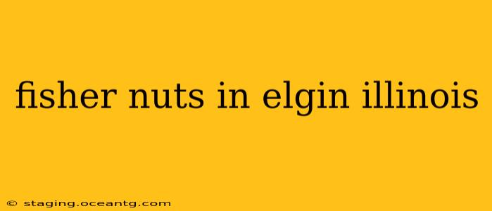 fisher nuts in elgin illinois