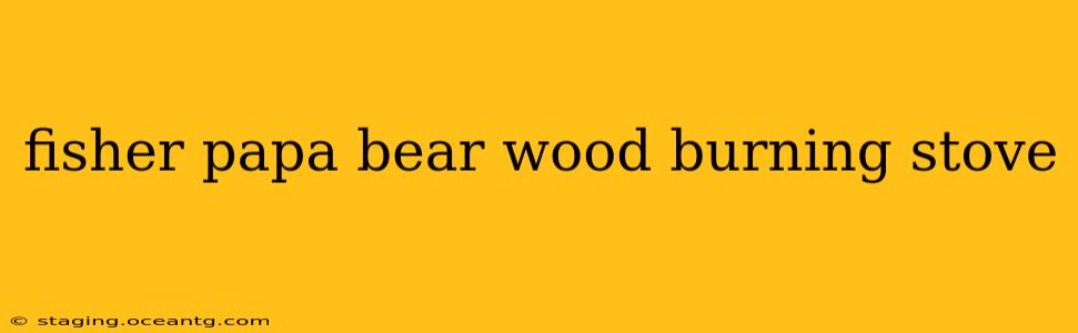 fisher papa bear wood burning stove