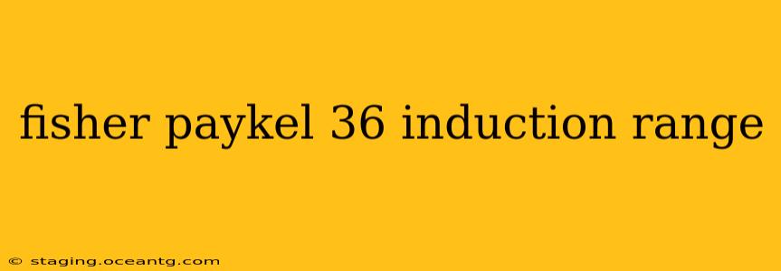 fisher paykel 36 induction range