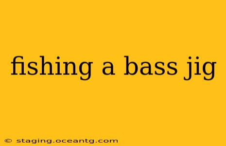 fishing a bass jig