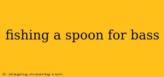 fishing a spoon for bass