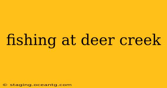 fishing at deer creek