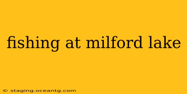 fishing at milford lake