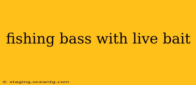 fishing bass with live bait