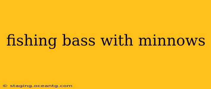 fishing bass with minnows