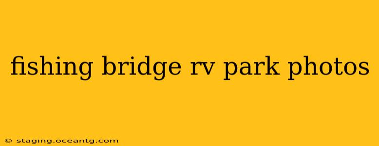 fishing bridge rv park photos