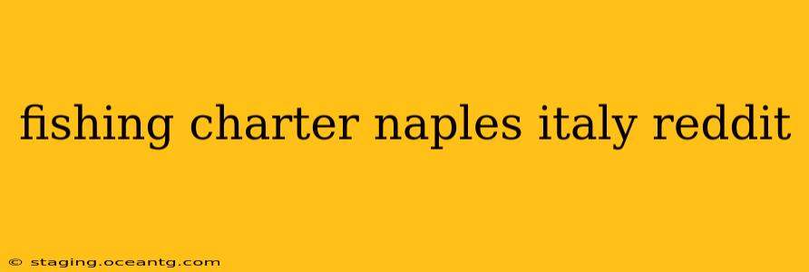 fishing charter naples italy reddit