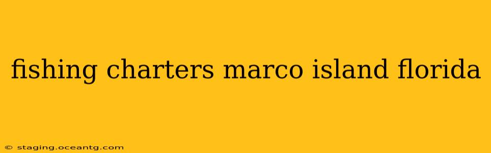 fishing charters marco island florida